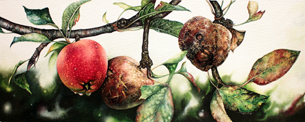 The Good,The Bad and The Ugly