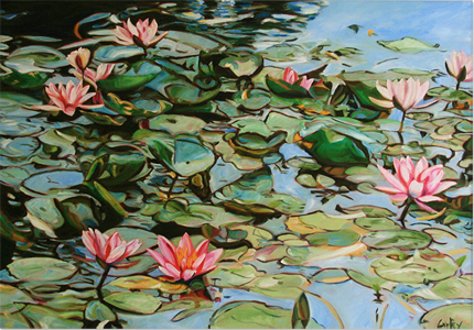 Waterlillies