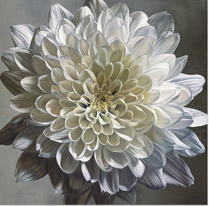 White Chrysanthemum