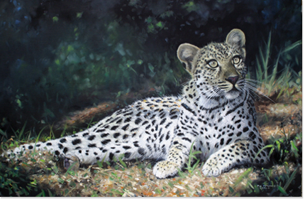 Reclining Leopard 