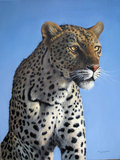 Leopard Portrait