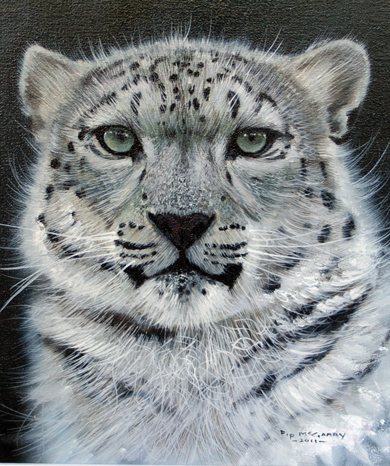 Snow Leopard Portrait