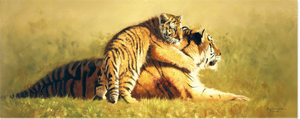 Tiger and Cub
