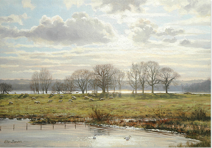 Ring of Bright Water