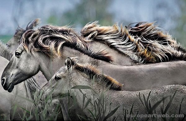 The world's top wildlife photographer 