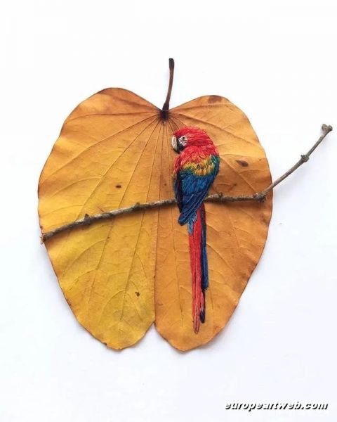 Laura Dalla Vecchia 4