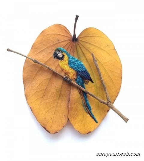 Laura Dalla Vecchia 5